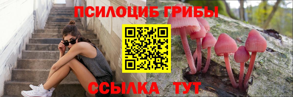 Галлюциногенные грибы мицелий  Галлюциногенные грибы Psilocybe  Белореченск  Вход с VPN 